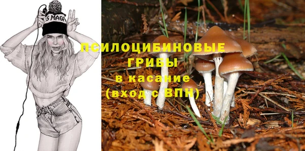 индика Алексеевка