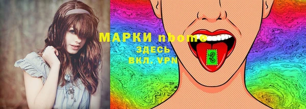 индика Алексеевка