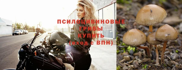 эйфоретик Осинники